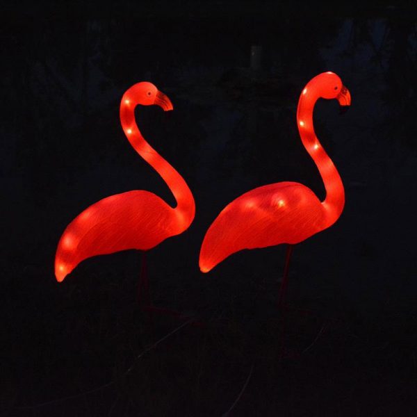 flamant rose solaire lumineux